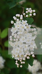 工商融e借逾期2年