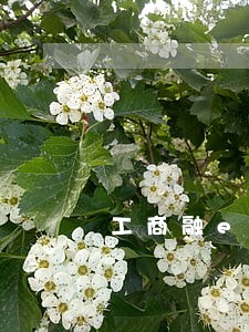 工商融e借逾期5年 工商融e借逾期5年