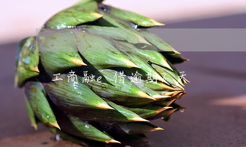 工商融e借逾期7天 工商融e借逾期7天