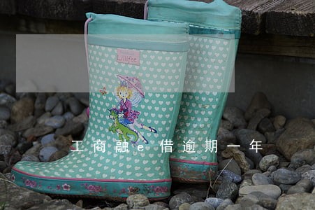 工商融e借逾期一年 工商融e借逾期一年