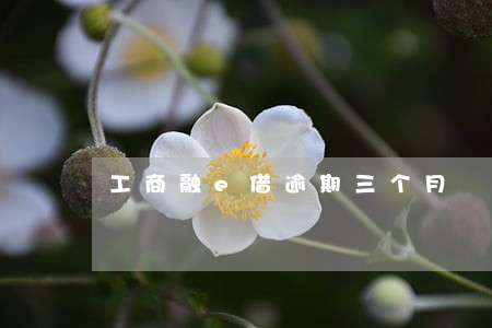 工商融e借逾期三个月 工商融e借逾期三个月