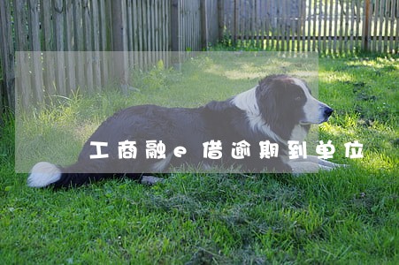 工商融e借逾期到单位 工商融e借逾期到单位