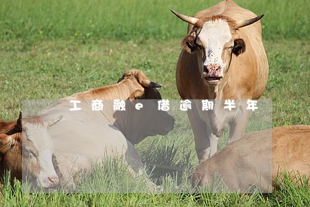 工商融e借逾期半年 工商融e借逾期半年