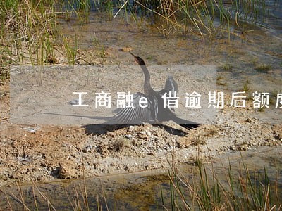 工商融e借逾期后额度