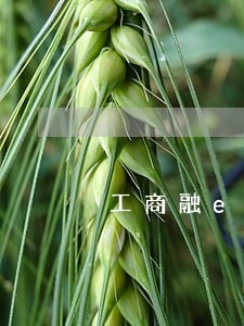 工商融e借逾期暴力催收 工商融e借逾期暴力催收