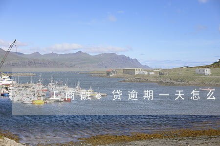 工商融e贷逾期一天怎么办 工商融e贷逾期一天怎么办