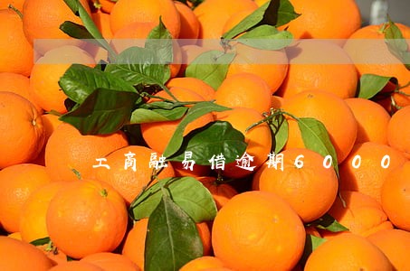 工商融易借逾期6000元 工商融易借逾期6000元
