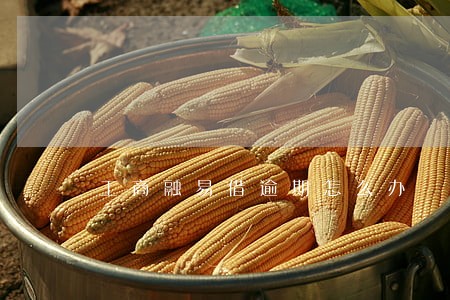 工商融易借逾期怎么办 工商融易借逾期怎么办