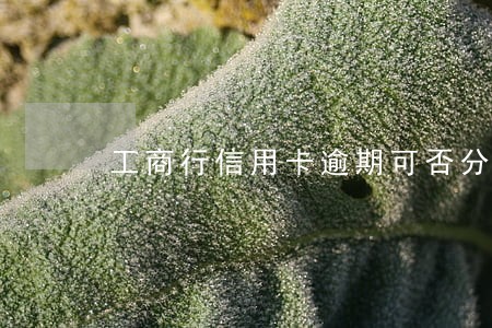 工商行信用卡逾期可否分期还款