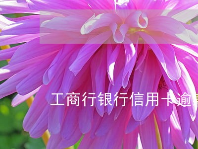 工商行银行信用卡逾期一天 工商行银行信用卡逾期一天