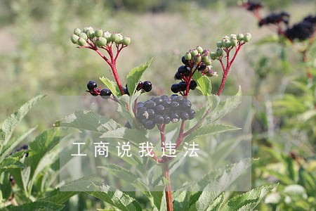 工商说我违法 工商说我违法