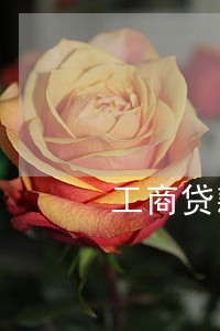 工商贷款逾期一天信用记录 工商贷款逾期一天信用记录
