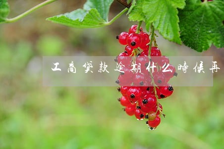 工商贷款逾期什么时候再扣 工商贷款逾期什么时候再扣