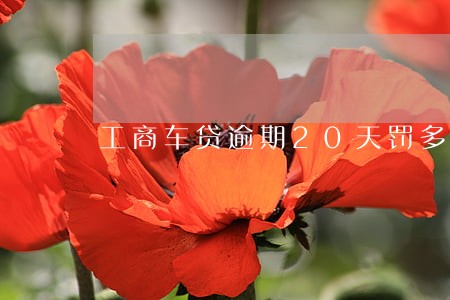 工商车贷逾期20天罚多少钱 工商车贷逾期20天罚多少钱