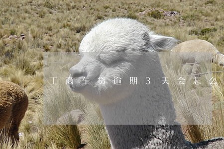 工商车贷逾期3天会怎么样 工商车贷逾期3天会怎么样