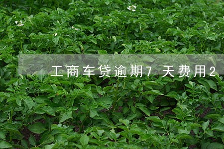 工商车贷逾期7天费用2000 工商车贷逾期7天费用2000