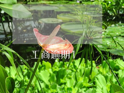 工商逾期1 工商逾期1