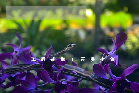 工商逾期1万多少钱 工商逾期1万多少钱