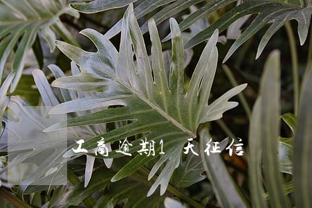 工商逾期1天征信