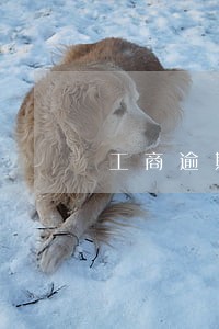 工商逾期2天上征信吗
