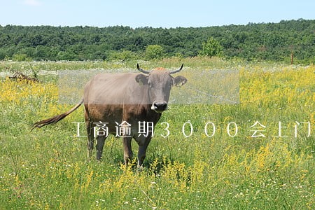 工商逾期3000会上门调查吗 工商逾期3000会上门调查吗
