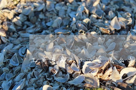 工商逾期3000怎么办 工商逾期3000怎么办