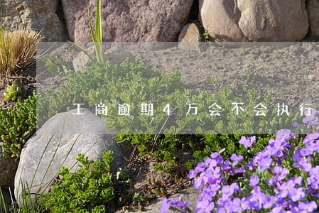 工商逾期4万会不会执行 工商逾期4万会不会执行