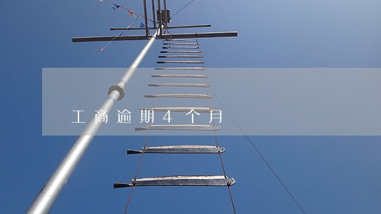 工商逾期4个月 工商逾期4个月