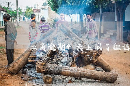 工商逾期4天上报了征信 工商逾期4天上报了征信