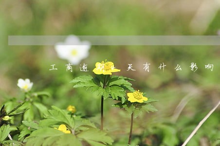工商逾期4天有什么影响 工商逾期4天有什么影响