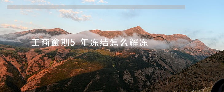工商逾期5年冻结怎么解冻 工商逾期5年冻结怎么解冻