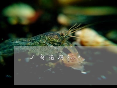 工商逾期8天 工商逾期8天