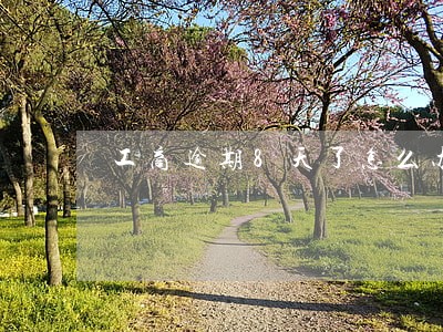 工商逾期8天了怎么办 工商逾期8天了怎么办