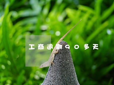 工商逾期90多天
