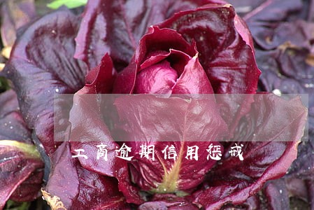 工商逾期信用惩戒 工商逾期信用惩戒