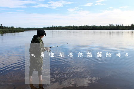 工商逾期冻结能解除吗6 工商逾期冻结能解除吗6