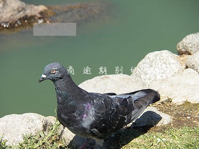 工商逾期别的银行可以贷款么 工商逾期别的银行可以贷款么