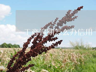 工商逾期怎么办信用卡 工商逾期怎么办信用卡