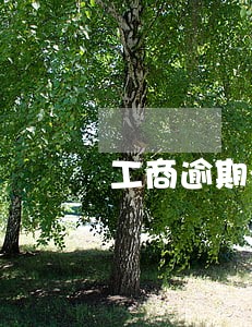 工商逾期注销罚款2000元 工商逾期注销罚款2000元