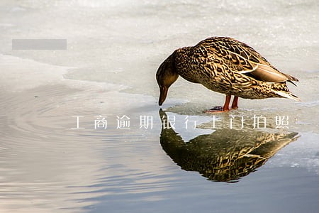 工商逾期银行上门拍照 工商逾期银行上门拍照