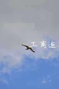 工商逾期额度降0 工商逾期额度降0