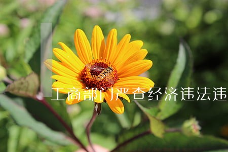 工商部门严查经济违法违章行为 工商部门严查经济违法违章行为