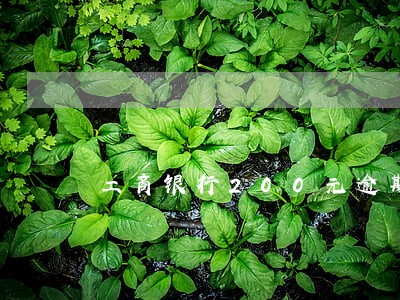 工商银行200元逾期一天 工商银行200元逾期一天