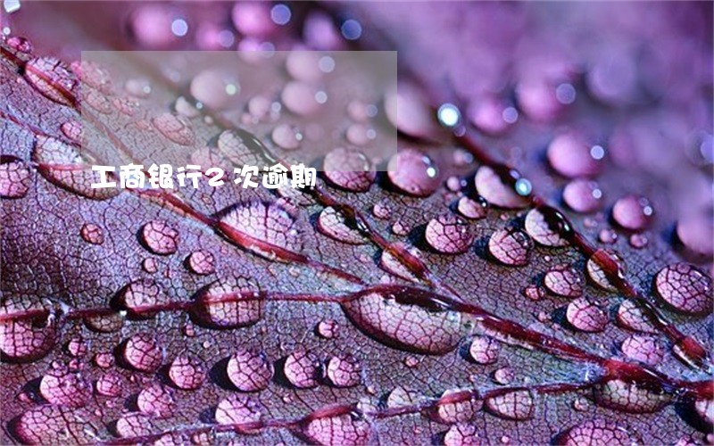 工商银行2次逾期 工商银行2次逾期