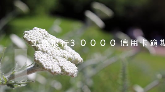 工商银行30000信用卡逾期 工商银行30000信用卡逾期