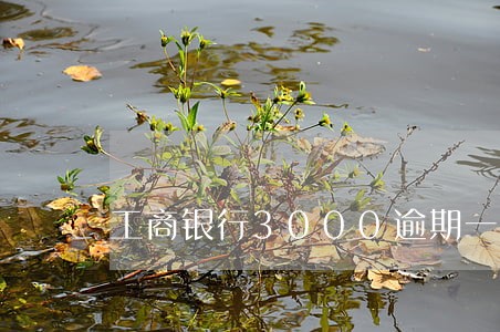 工商银行3000逾期一年多 工商银行3000逾期一年多