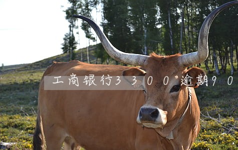 工商银行3300逾期90天 工商银行3300逾期90天