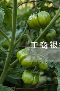 工商银行一次房贷逾期 工商银行一次房贷逾期