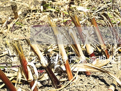 工商银行严重逾期处理 工商银行严重逾期处理