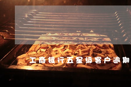 工商银行五星级客户逾期利息 工商银行五星级客户逾期利息